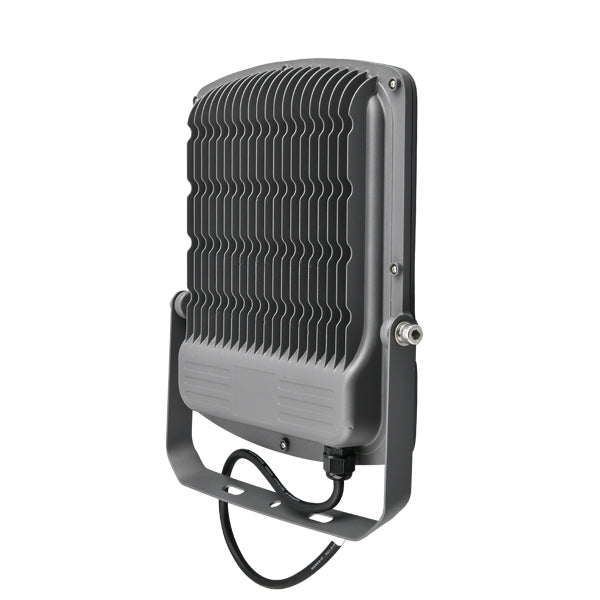 BRY-FLOOD-SL-100W-GRY-6500K-IP65-LED REFLEKTOR