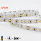 DAWN LED TRAKA HL 2835-120-NW 12V IP20 (5met, 12W/m, 8mm)