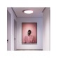 LED PLAFONJERA MOON PINK  24W 4000K