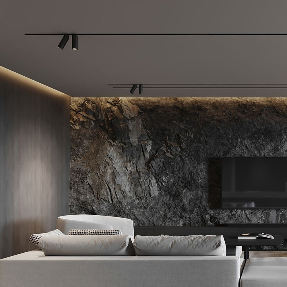 BRY-TRC045-10W-48VDC-3U1-CRNA-MAG.ŠINSKA SVETILJKA