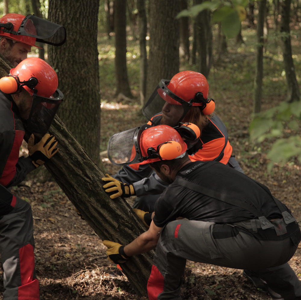 Zaštitne pantalone protiv prosecanja LOGGER sive