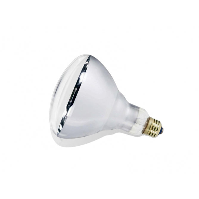 SIJALICA R-80  40W E-27 MAT